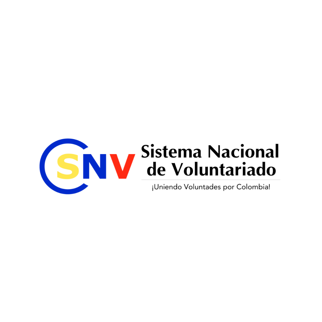 sistema nacional voluntariado